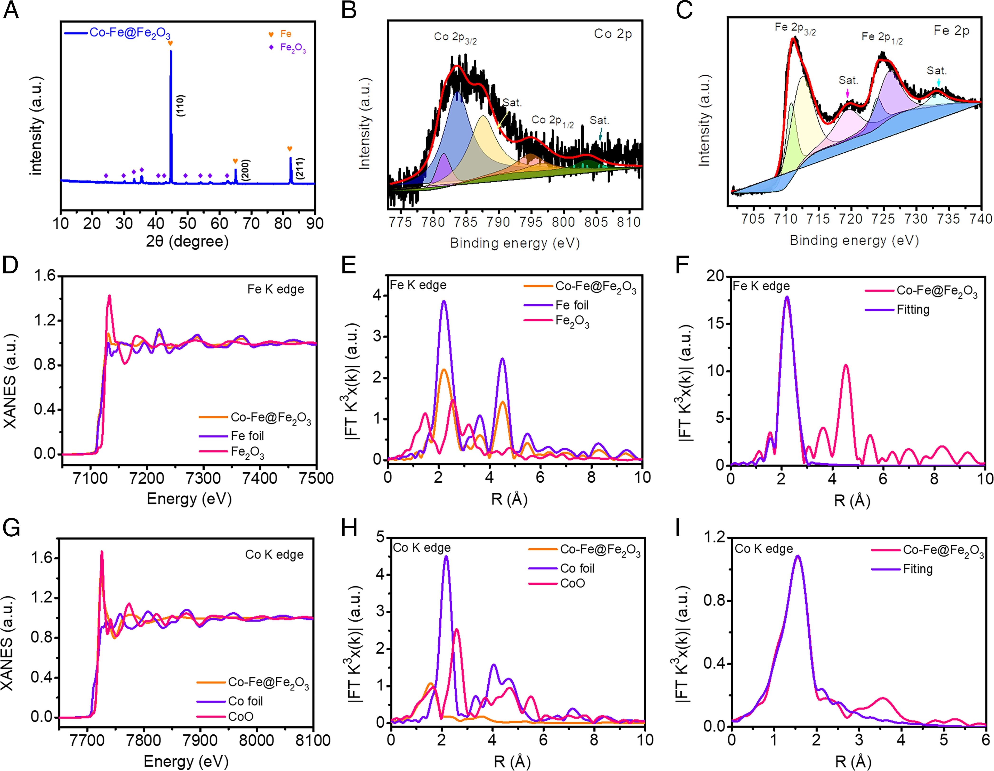 20220414-william威廉中文官网李淼副教授课题组开发钴掺杂铁基催化剂实现高效硝酸盐污染去除和可持续能源回收-李淼-图2 Co-Fe@Fe2O3结构表征.jpg