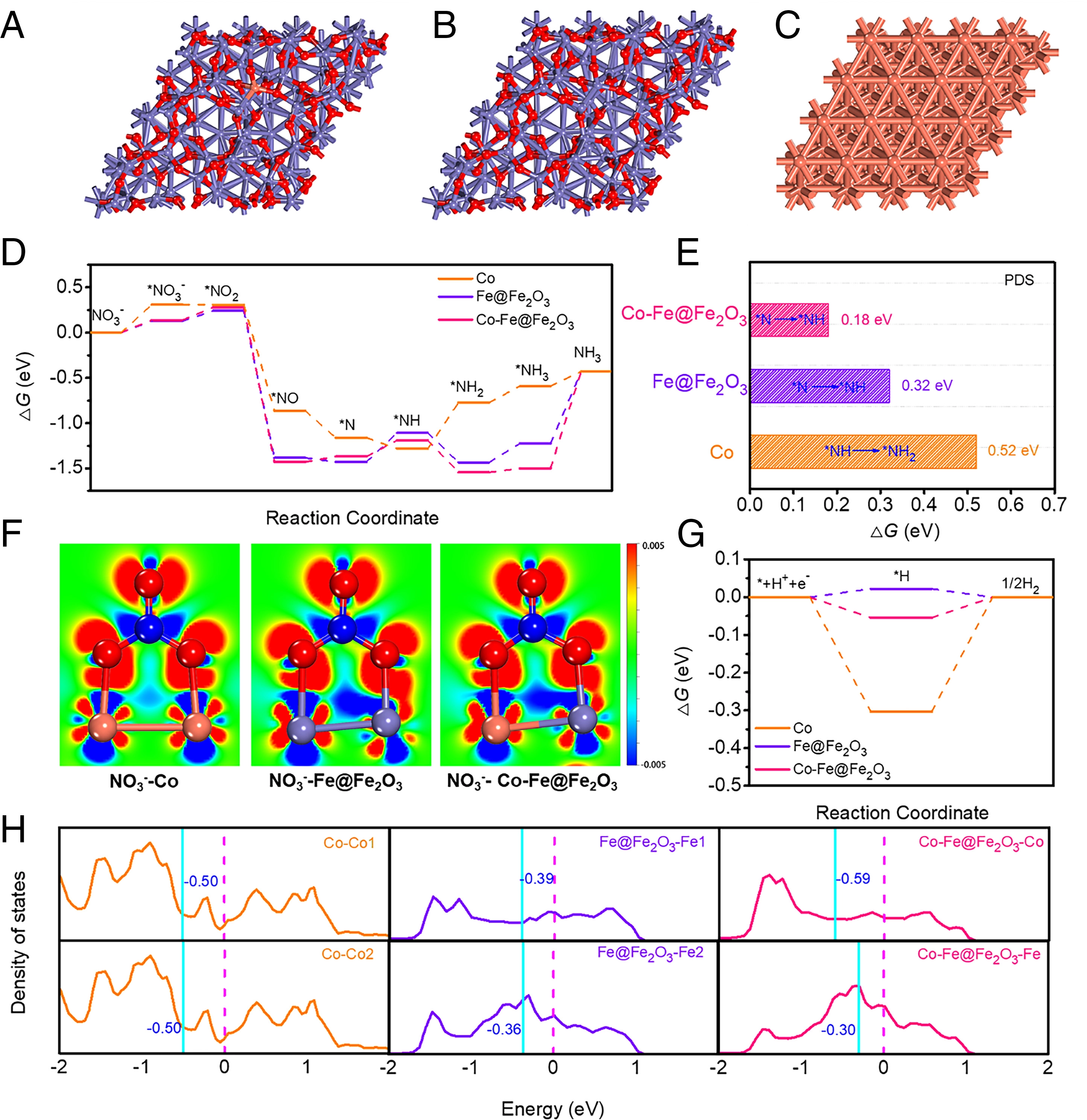 20220414-william威廉中文官网李淼副教授课题组开发钴掺杂铁基催化剂实现高效硝酸盐污染去除和可持续能源回收-李淼-图3 反应机理示意图.jpg